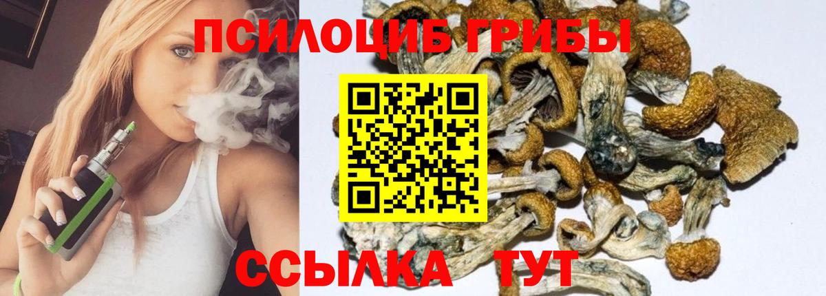 Ишимбай  Галлюциногенные грибы GOLDEN TEACHER  Вход с VPN  наркотики  Псилоцибиновые грибы Cubensis 